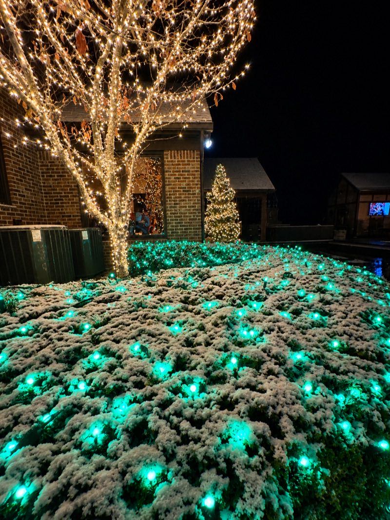 Tree wrapping holiday lighting technique example — Land O' Lakes FL