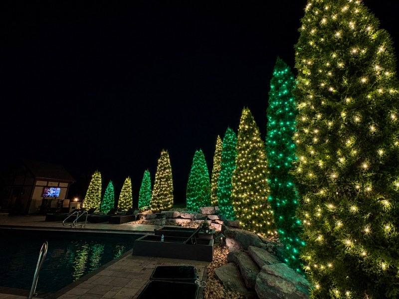 Poolside holiday tree lighting display, Odessa FL