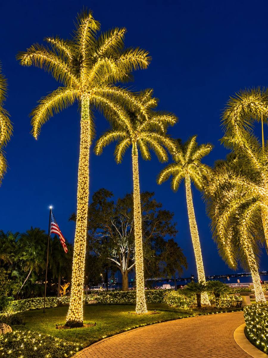 Tall royal palm trees wrapped trunk to frond in warm white lights along a waterfront walkway, Tampa FL